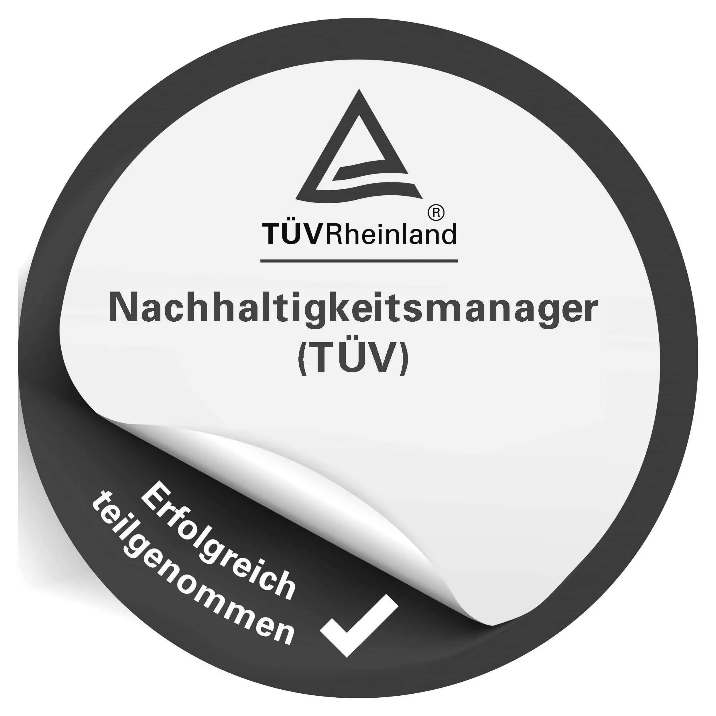 TÜV Rheinland Logo Nachhaltigkeitsmanager